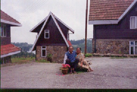 dadu.jpg